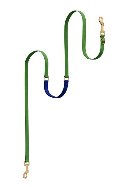 GoPawGo Charm Jewel Plus Convertible Strap