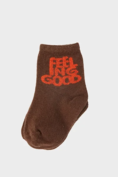 GB Baby Baby Boy Brown Socks 23FW0BG1083