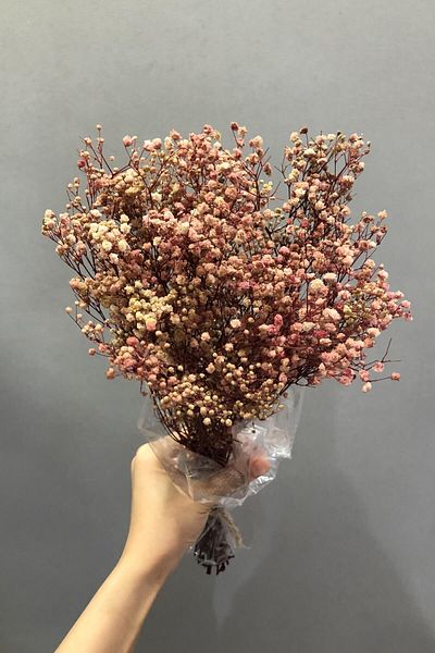 Hobigram Τεχνητό λουλούδι σε σκόνη Cipso Shocked Dry Flower – Τεχνητό & ξηρό λουλούδι, κομψό σχέδιο, γυναικείο αξεσουάρ – Y