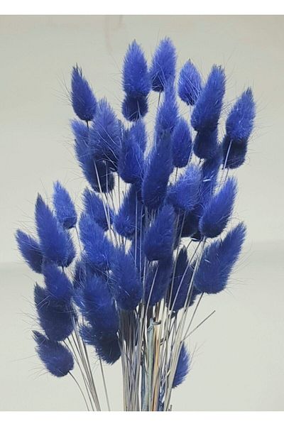 Hobigram Τεχνητό λουλούδι Dry Flower Cotton Grass Lagurus Bunch 10 Branches Grain – Τεχνητό & Dry Flower, Κομψό Σχέδιο – Yapa