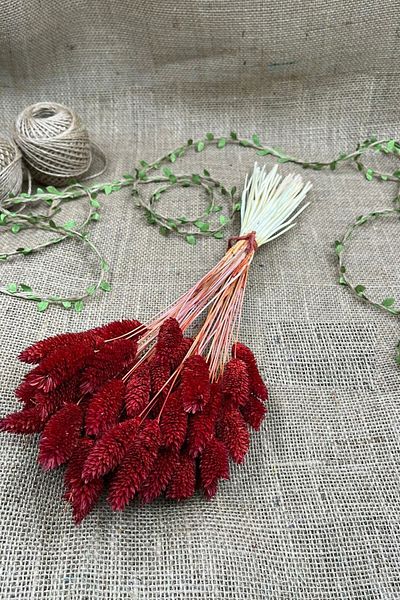 Hobigram Τεχνητό λουλούδι Red Bird's Eye Palaris Αποξηραμένο Λουλούδι – Τεχνητό & Ξηρό Λουλούδι, Κομψό Σχέδιο – Τεχνητό Λουλούδι