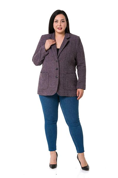 DISENTIS MODEST Jachetă cu buzunare cu buzunare, căptușită cu un blazer din prune