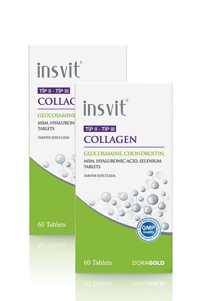 insvit Type 2 Type 3 Collagen Hyaluronic Acid Glucosamine Chondroitin Msm Vitamin C Collagen Tablet 2 Pack