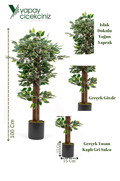 YAPAY ÇİÇEKÇİNİZ Gri Saksıda 100 Cm Yeşil Beyaz Yapay Benjamin Ağacı