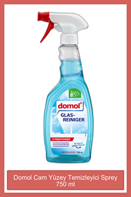 Cam Yüzey Temizleyici Sprey 750 ml ürün fotoğrafı