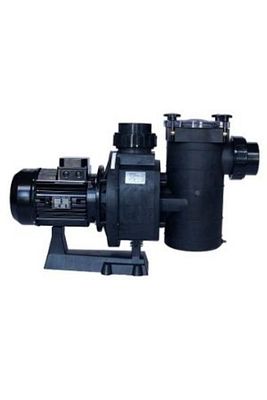 Kan-plus 6.50hp (trifaze) Havuz Pompası/kan-plus 6.50hp (triphase) Pool Pump-lions Pool ürün fotoğrafı