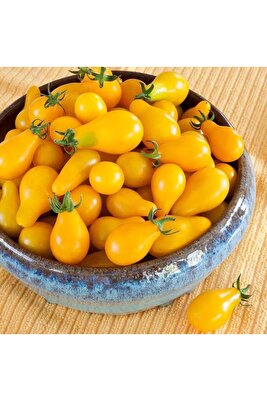 Sarı ampul domates tohumu geleneksel armut domatesi yellow pear heirloom ürün fotoğrafı