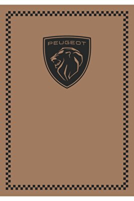 KAĞIT PASPAS OTO 100 Adet ürün fotoğrafı