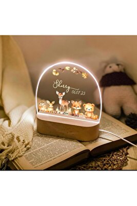 BEBEK ÇOCUK ODASI İSME ÖZEL GECE LAMBASI BEBEK HEDİYELİK DEKOR ÇOCUK ODASI ürün fotoğrafı