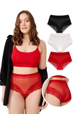 Dantel Detaylı Transparan Büyük Beden Bikini Külot 3'lü Paket ürün fotoğrafı