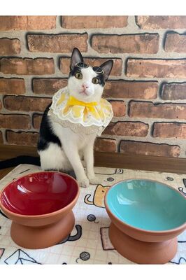 Çömlek 1 Adet Yüksek Mama Su Kabı El Yapımı 15 Cm Seramik ürün fotoğrafı