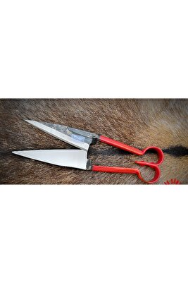 Boyalı Koyun Kırklığı ürün fotoğrafı