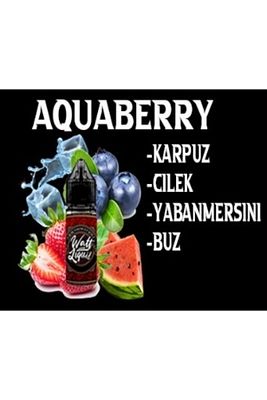 Likit Karpuz & Çilek & Yaban Mersini & Buz Aromalı Hazır Aroma Şurup 30 Ml ürün fotoğrafı
