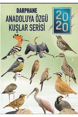 2020 Anadoluya Özgü Kuşlar 12'li Takım Alüminyum ürün fotoğrafı