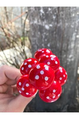 25 Adet Çubuklu Kırmızı Mantar Orta Boy Teraryum Süsleme ürün fotoğrafı