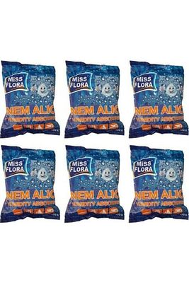 6'lı Ekonomik Yedek Paket (6 ADET 450 GR NEM ALICI YEDEK) ürün fotoğrafı