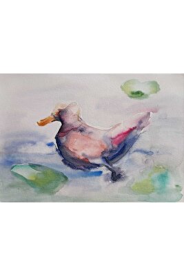 Renkli Ördek Resmi ürün fotoğrafı