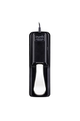 Wtb-005 Sustain Pedal ürün fotoğrafı