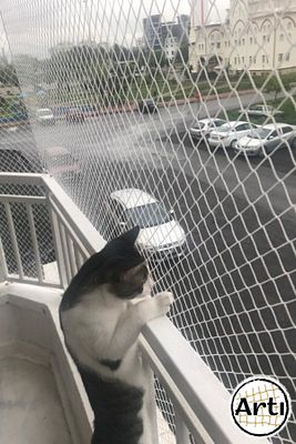 2,5x6 Mt Balkon Kuş Pencere Kedi Filesi Ağı Koruma Önleme ürün fotoğrafı