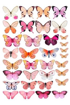 Dekoratif Kelebek 🦋🦋 ürün fotoğrafı