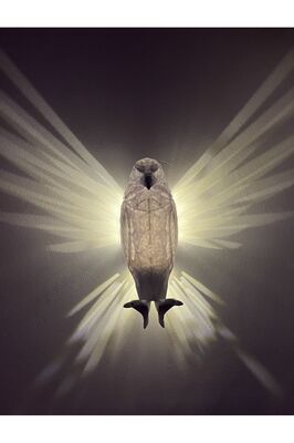 Kartal Şeklinde Özel 3d Üretim ürün fotoğrafı