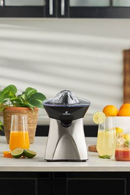 Freshmix Inox Narenciye Sıkacağı 601 ürün fotoğrafı