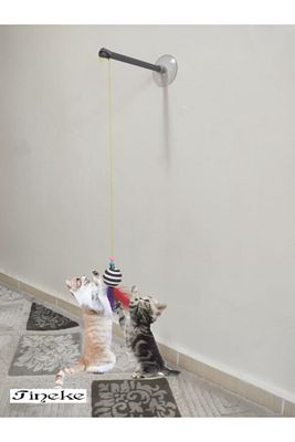 Vantuzlu Kedi Oltası Kedi Oyuncağı ürün fotoğrafı