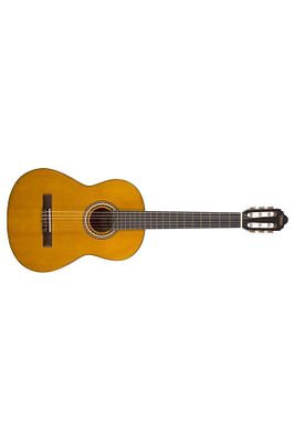 Vc204 Klasik Gitar Kılıf Ve Pena Hediyeli - GTR-10 ürün fotoğrafı