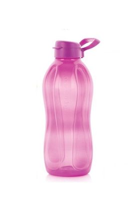Eko Şişe 2 Litre Detoks Şişesi (YENİ RENK) ürün fotoğrafı