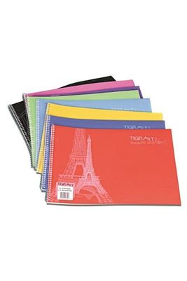 Tr-002 Plastik Kapak Resim Defteri 25x35 Cm 25 Yaprak 265500002502 ürün fotoğrafı