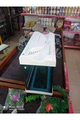 Akvaryum 30cm Tüm Renkler Ikizler Akvaryum ürün fotoğrafı