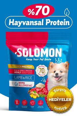 Yetişkin Küçük Irk Kuzu'lu Süper Premium Köpek Maması 1,5 kg Hipoalerjenik - Düşük Tahıllı ürün fotoğrafı