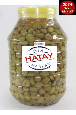 Antakya Kırma Yeşil Zeytin, Yeşil Zeytin, Kırma Yeşil Zeytin(5LİK) Yeni Sezon 2024 ürün fotoğrafı