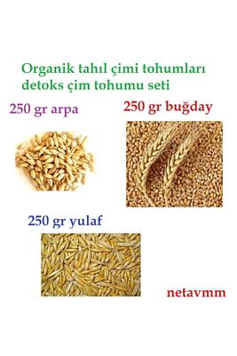Doğal Tahıl Çimi Tohumları Arpa-buğday-yulaf Tohum Çimi Seti 250'şer Gram Toplam 750 Gram Tohum ürün fotoğrafı