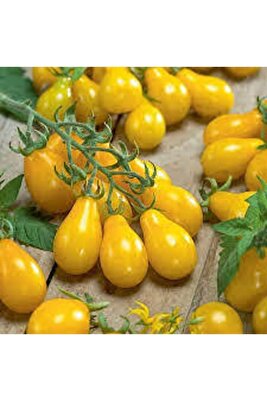 5 adet Tohum Nadir Sarı Ampul Domates Tohumu Ampül Domates Tohumu ürün fotoğrafı