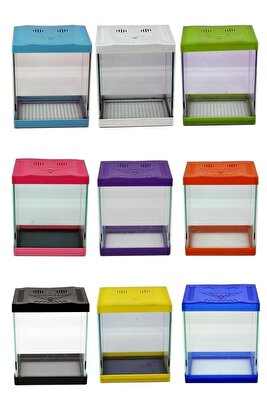 Hediyeli ürün HAN DİSCUS AKVARYUM Renkli Mini Akvaryum 23x20x14,5 Cm ürün fotoğrafı