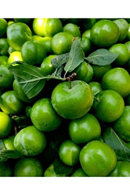 Erik Can (adet Papaz ) Sert Taze Yeşil5 Adet ürün fotoğrafı