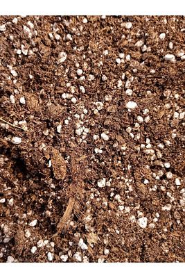 2 Litre Etobur Bitki Özel Toprak Torf Karışımı Sphagnum Peatmoss Mix ürün fotoğrafı