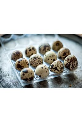 Kuluçkalık Bıldırcın Yumurtası 1 Paket 12 Adet ( Özel Kutuda Güvenli Kargo) ürün fotoğrafı
