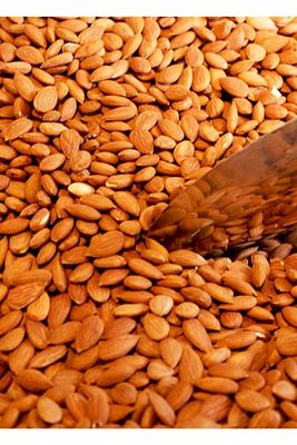 Acı Kayısı Çekirdeği 500 gr / Yarım Kg ürün fotoğrafı