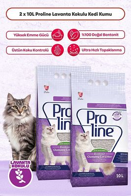 Lavanta Kokulu Kedi Kumu 2x10 Lt ( 2 Adet 10 Lt ) ürün fotoğrafı