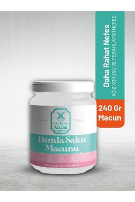 Damla Sakızlı 240 gr Macun ürün fotoğrafı