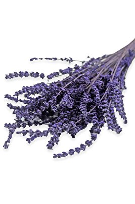 Kurutulmuş Lavanta Demeti 40-50 Cm 3 Adet 200-300 Dal ürün fotoğrafı