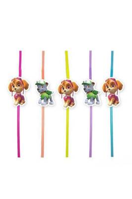 Paw Patrol Skye &amp;amp; Rocky Artistik Pipet 10 Adet ürün fotoğrafı