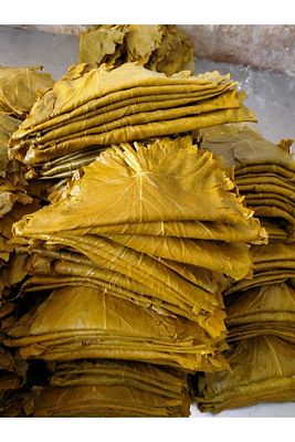 İnce Yaprak Sarımlı Asma Üzüm Yaprağı 5 Kg ürün fotoğrafı