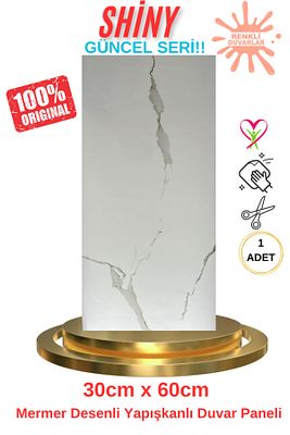 Bs1763 Shiny 30x60cm Mermer Desenli Yapışkanlı Seramik Desen Banyo Wc Kaplama Pvc Duvar Paneli ürün fotoğrafı