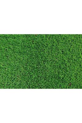 Çim Gübresi Çiçek Çoşturan 1 Kg Çim Coşturan Bitki Coşturan Bitki Geliştirici ürün fotoğrafı