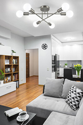 Örümcek 6 Lı Çapraz Salon - Mutfak - Yatak Odası Tavan Plofonyer Gri Renk 6 lı Avize (AMPULSÜZ) ürün fotoğrafı