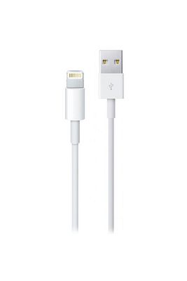 Lightning (1m) USB Kablo - MXLY2ZM/A ürün fotoğrafı