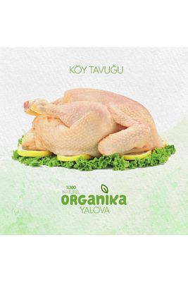 Köy tavuğu 3 adet ürün fotoğrafı